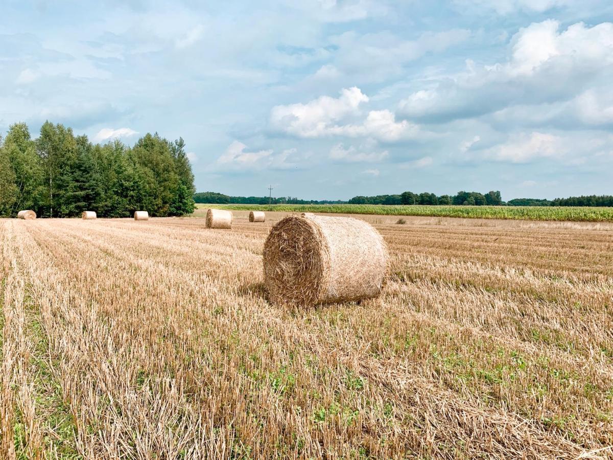 Agroturystyka Sielanka Przasnysz Zewnętrze zdjęcie
