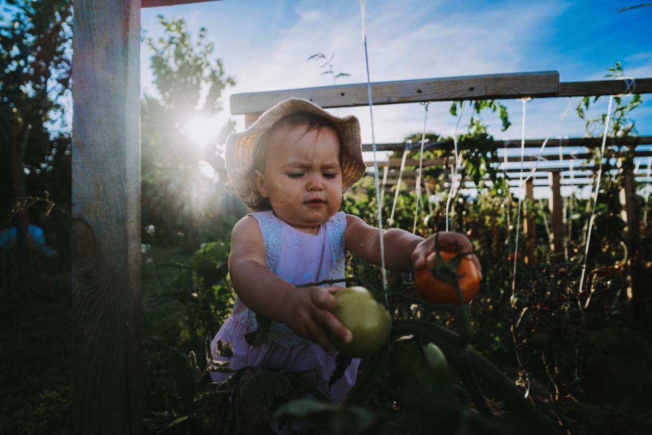 Agroturystyka Sielanka Przasnysz Zewnętrze zdjęcie